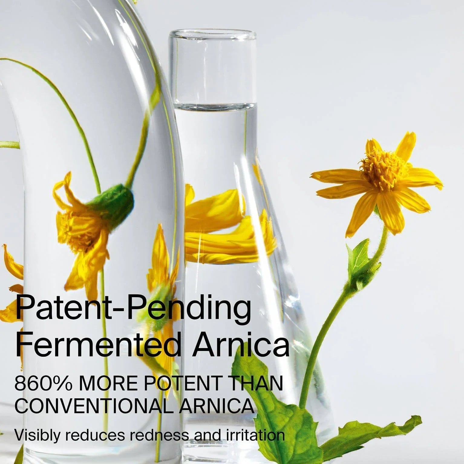 Haus Labs Bio-Blurring Loose Setting Powder - Pudra - Glaze Türkiye