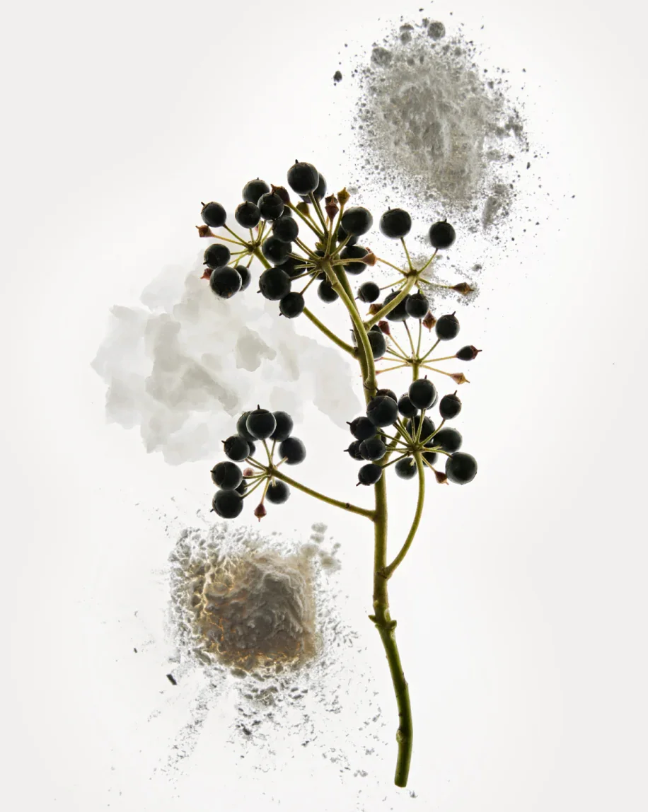 Glossier Deodorant - Glaze Türkiye