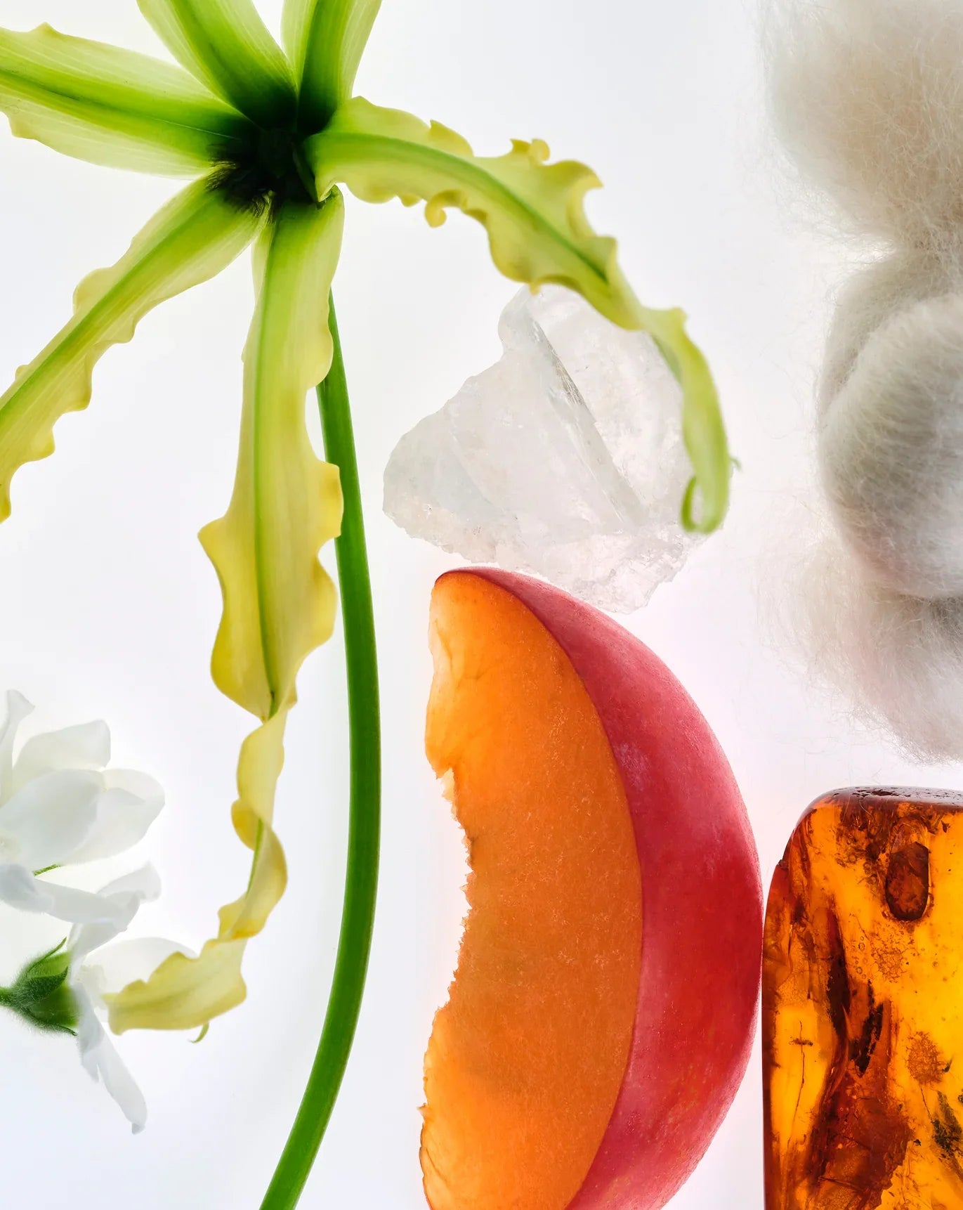 Glossier You Fleur - Parfüm - Glaze Türkiye