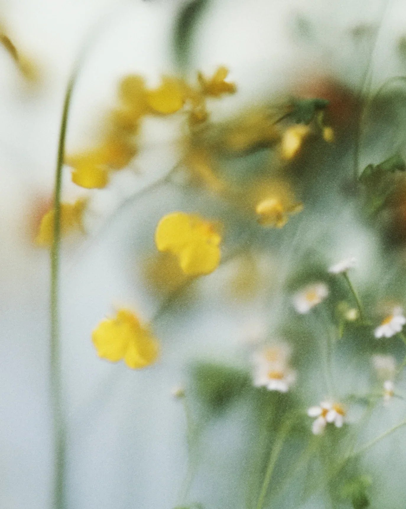 Glossier You Fleur - Parfüm - Glaze Türkiye