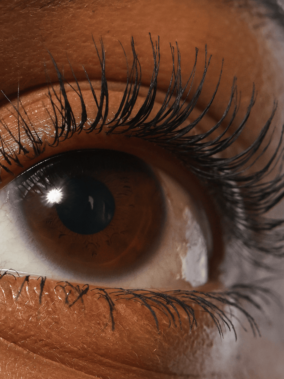 Refy Lash Sculpt - Kirpik Şekillendirici - Glaze Türkiye